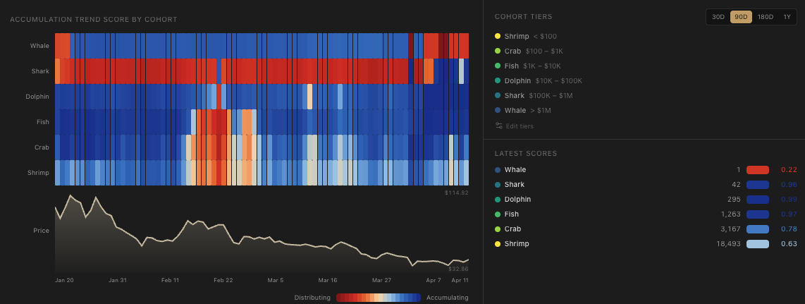 Accumulation Trend Score across cohorts vs price